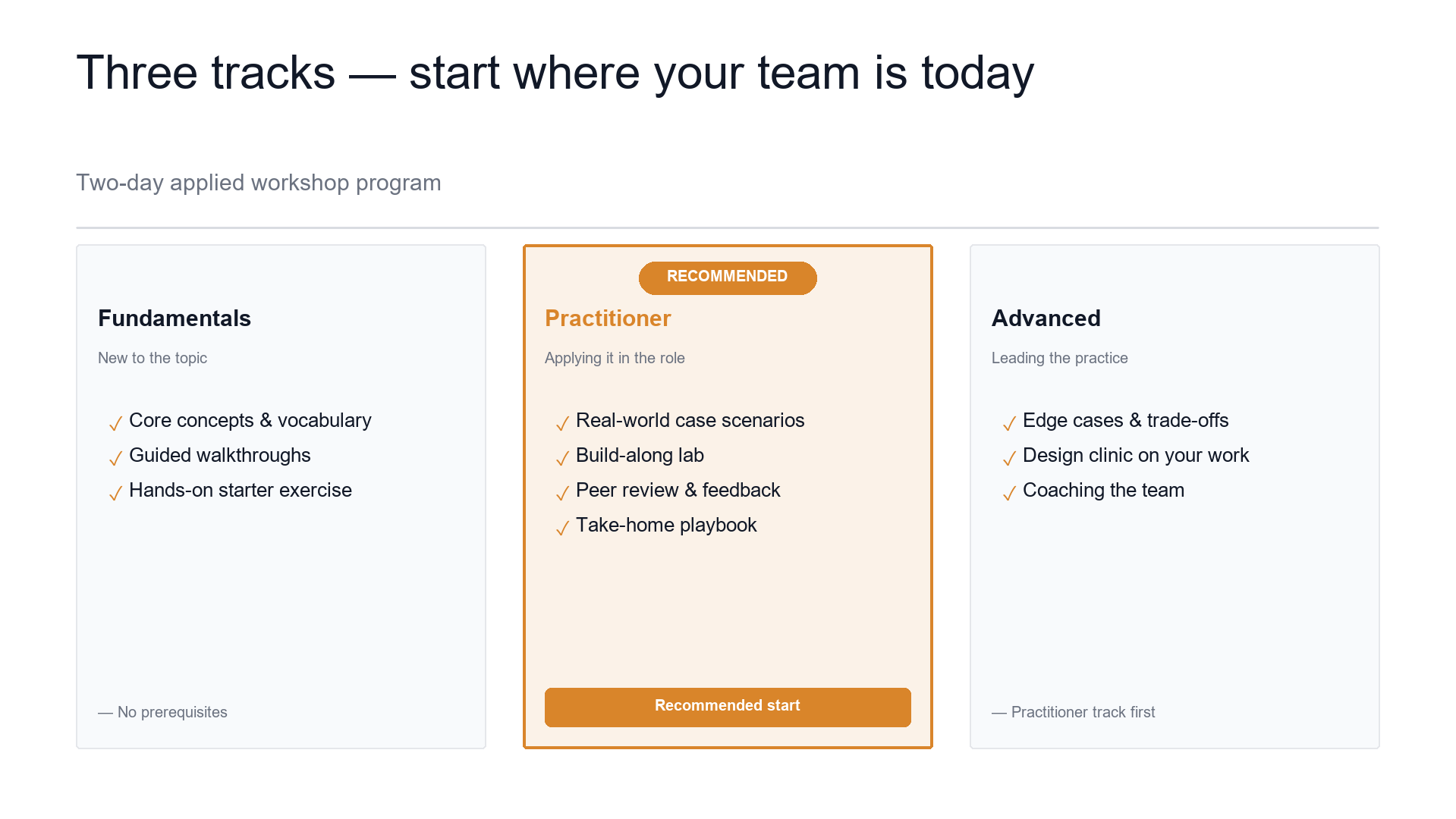 Workshop tracks — from fundamentals to applied practice slide template preview